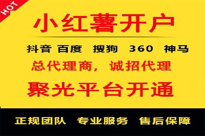 SEM专员案例：数据分析与优化